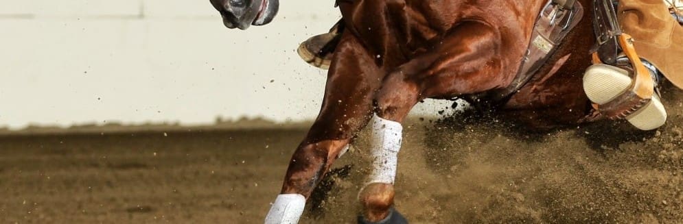 DPS Reins In Thoroughbred Group’s Complaint Against Sen. Nelson