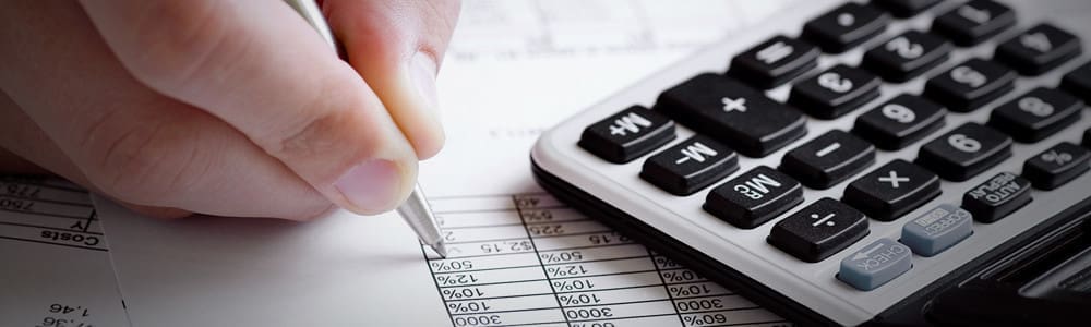 Spending, Revenue, or Pensions?