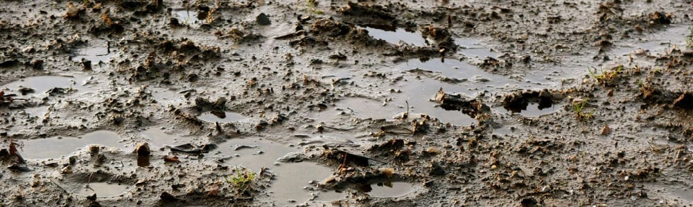 Local Paper Condemns Doug Miller for Mud Slinging