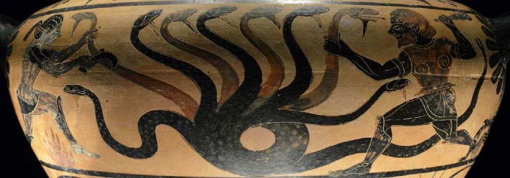 Local Government Hydra Threatens Texas Liberties