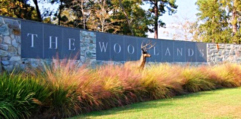 Residents’ Advocates Run the Table in The Woodlands Election