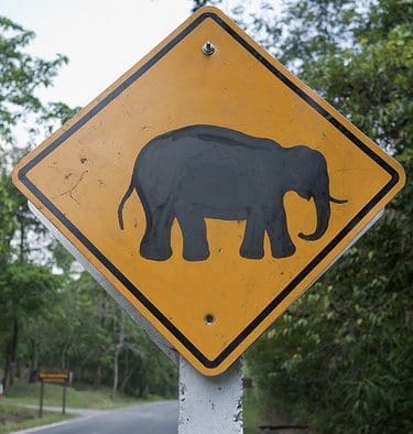Commentary: Voters Want Promise Keepers