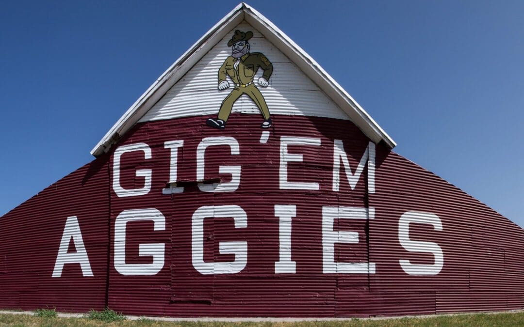 Texas A&M Releases New DEI Guidelines