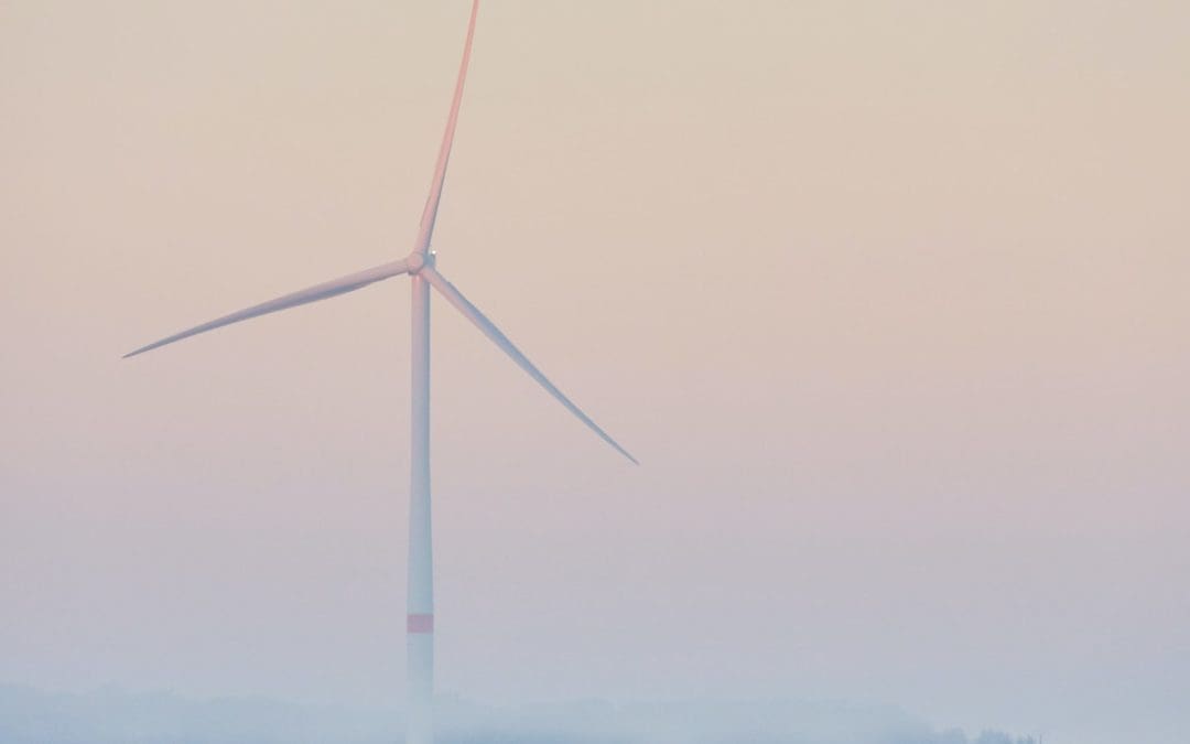 More Than $71M Spent on Green Energy Lobbyists in Texas