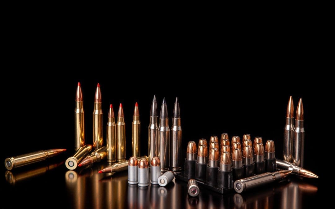 House Passes Bill to Stop Corporate Gun Boycotts