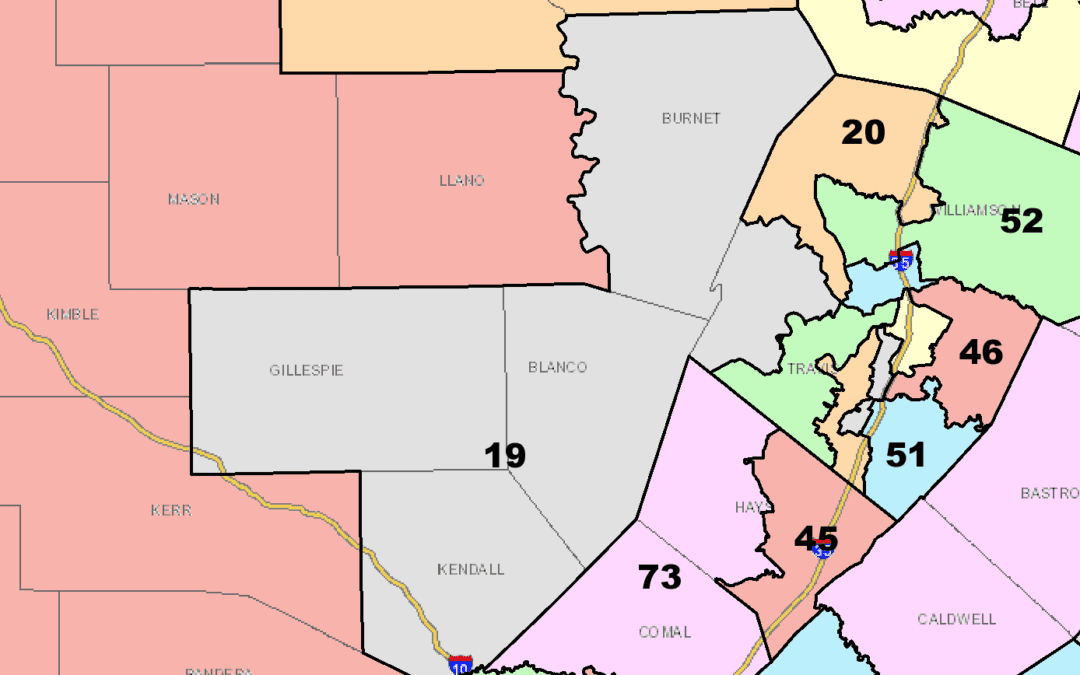 Texas House District 19 Candidates in Their Own Words