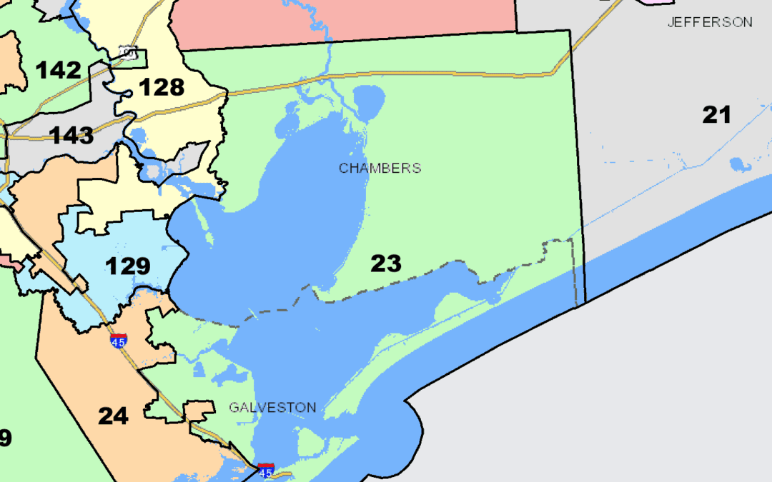 Texas House District 23 Candidates in Their Own Words