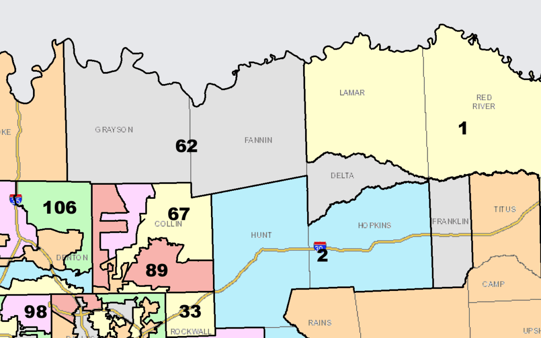 Texas House District 62 Candidates in Their Own Words