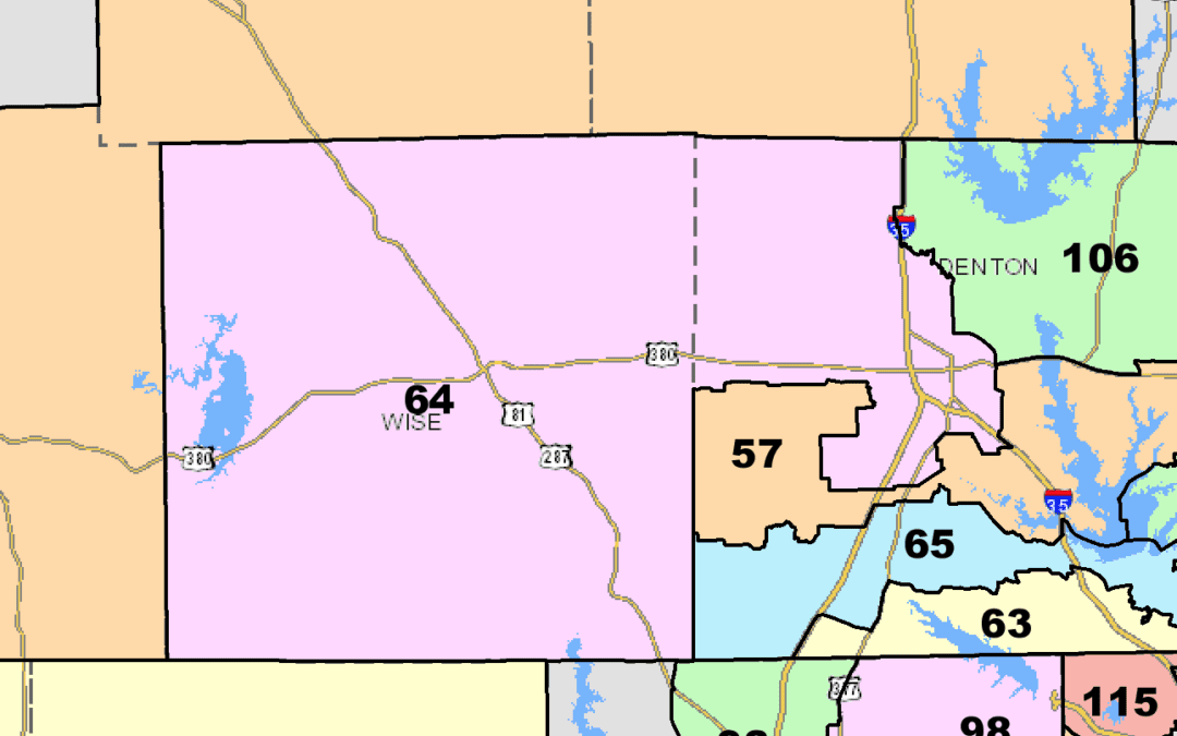Texas House District 64 Candidates in Their Own Words