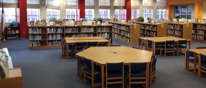 McKinney Parents Challenge 282 Sexually Explicit Books in School Libraries