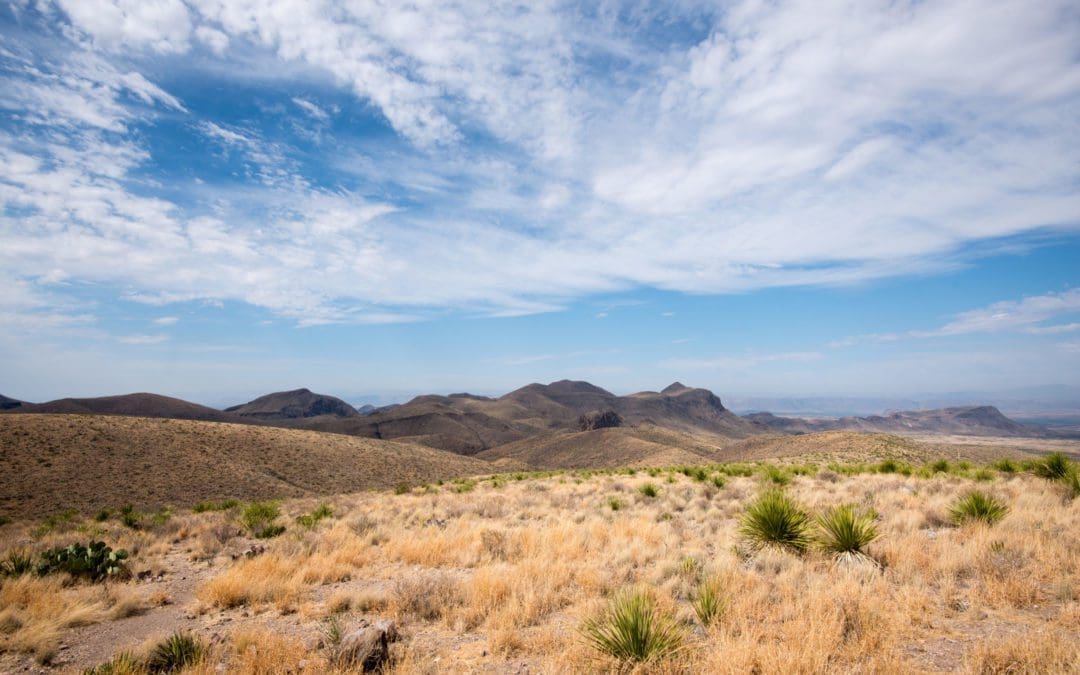 Efforts Begin to Ban Hostile Foreign Countries From Buying Texas Land 