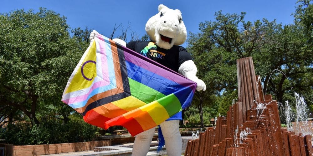 10 Texas Universities Hold ‘Lavender Ceremonies’ for LGBTQ Graduates