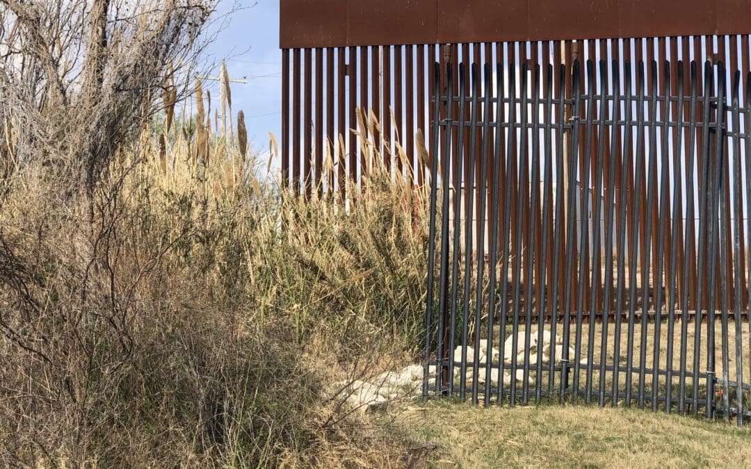 US Speaker Johnson Applauds Efforts to Secure Southern Border Amidst Federal Lawsuits