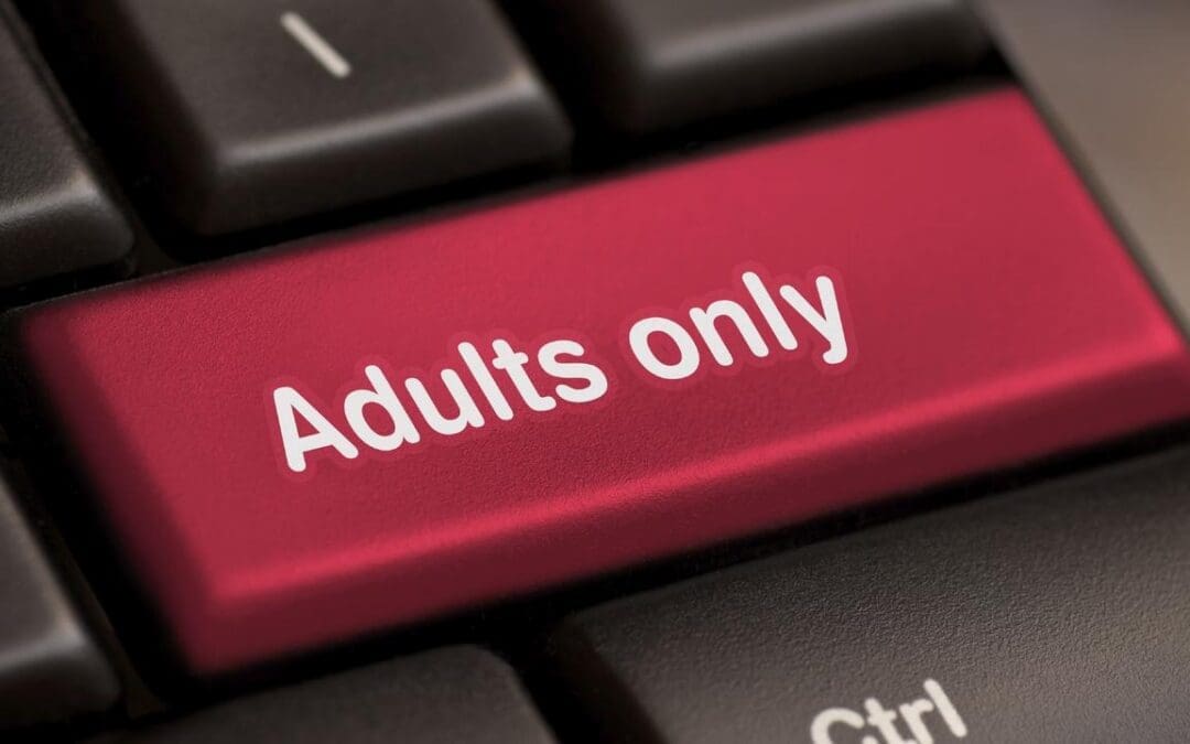 US Supreme Court Upholds Texas Age-Verification Law for Online Porn Sites