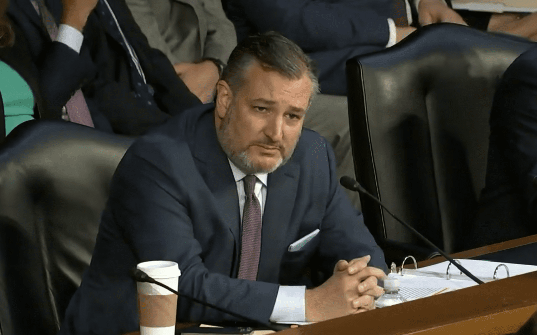 Sen. Cruz Introduces Bill To Allow American Victims of Terrorism to Sue International Orgs