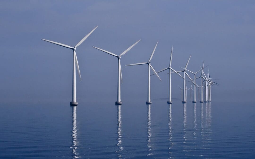New Law Aims To Protect Texas Wildlife From Wind Projects, Still Awaits Enforcement