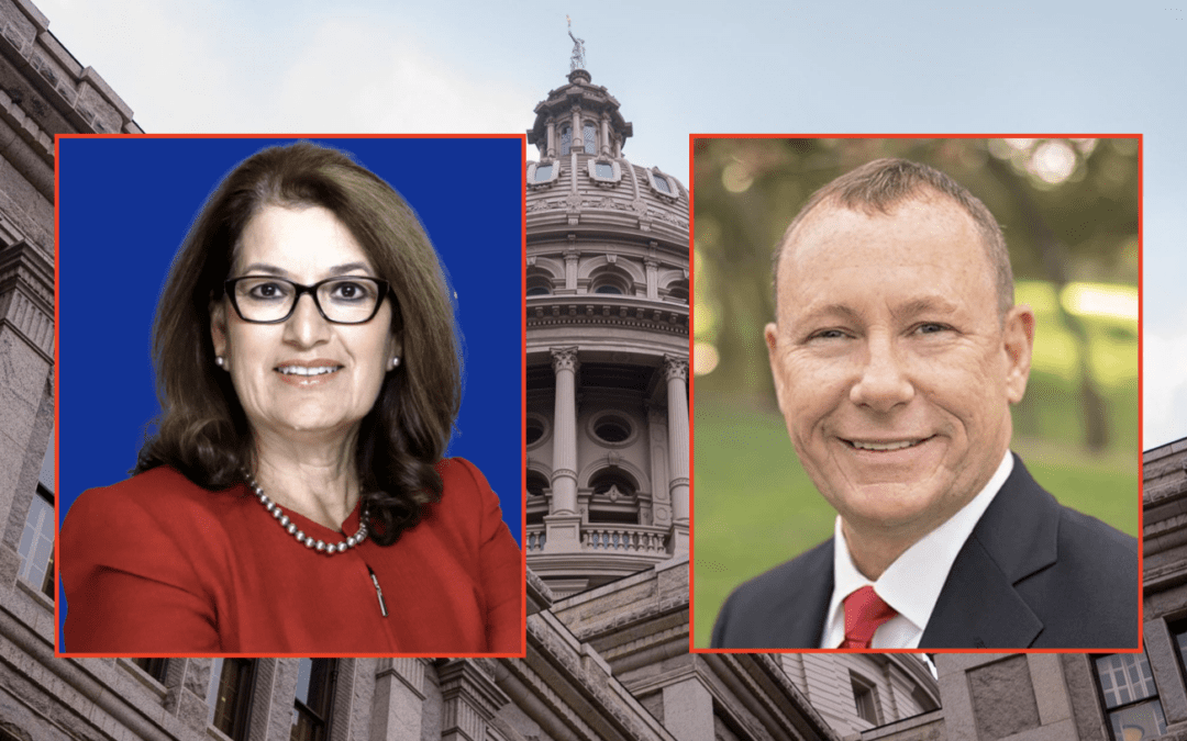 Janine Chapa Challenging State Rep. Terry Wilson in GOP Primary