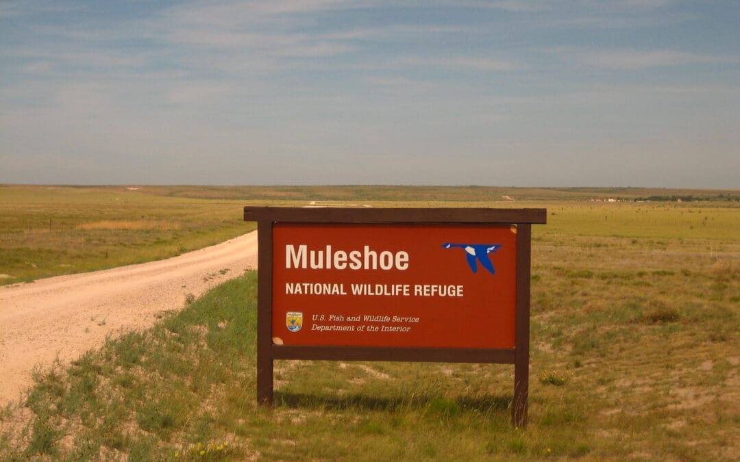 Fighting for Texas Farmland: The Battle at Muleshoe