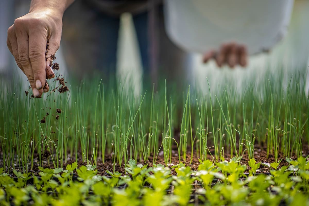 Incoming State Rep. Kerwin Introduces Measure to Limit Harmful Chemicals in Fertilizer