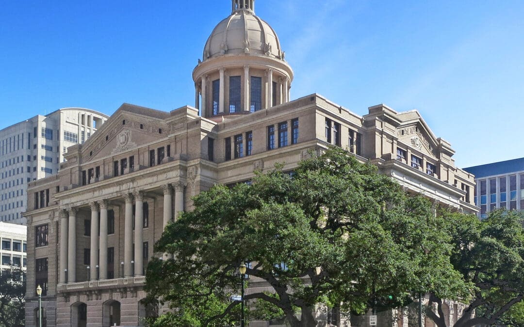 Two Harris County Officials Want To Keep Birthright Citizenship for Children of Illegal Aliens
