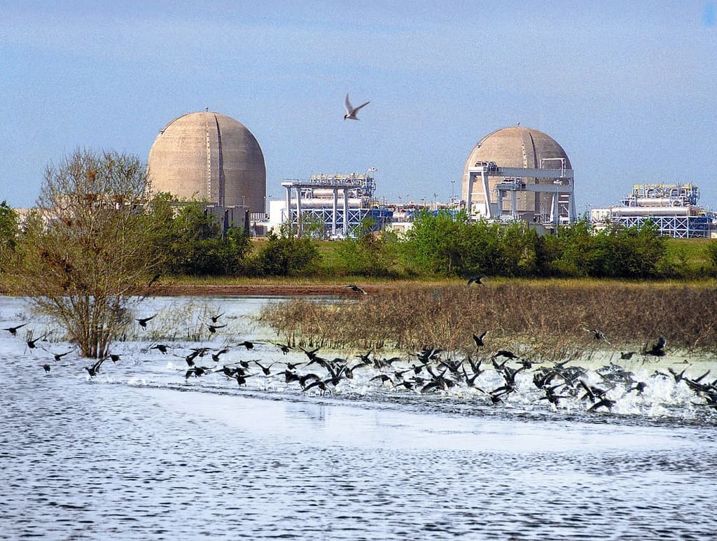 South Texas Project Nuclear Generating Station