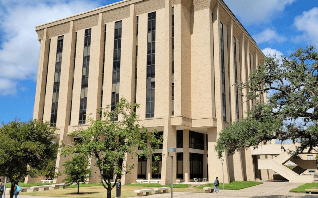 Texas A&M’s DEI-based Educational Classes