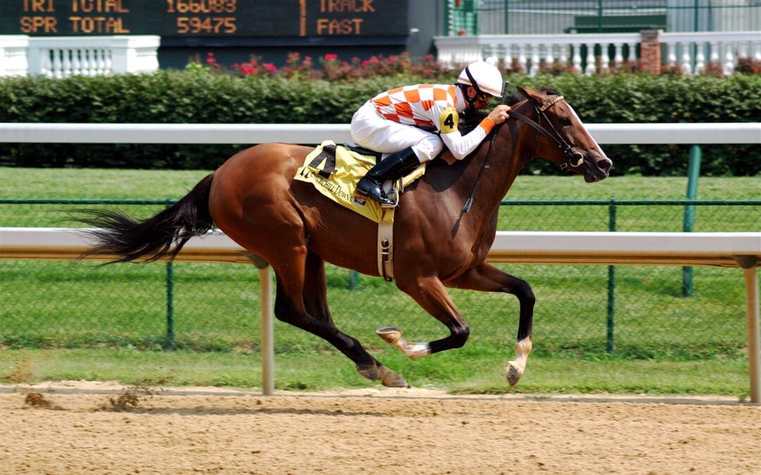 Head of Texas Racing Commission Steps Down