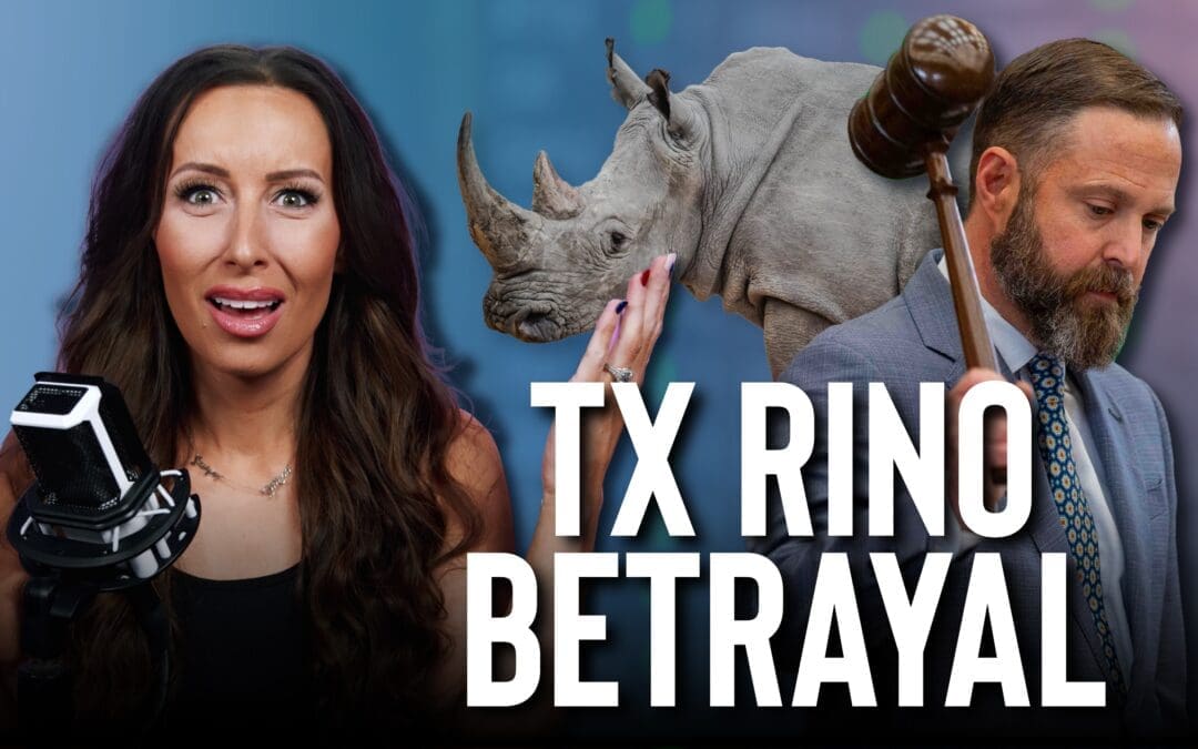 BETRAYAL: How Texas RINOS Helped DEMOCRATS Take Control of the Texas House