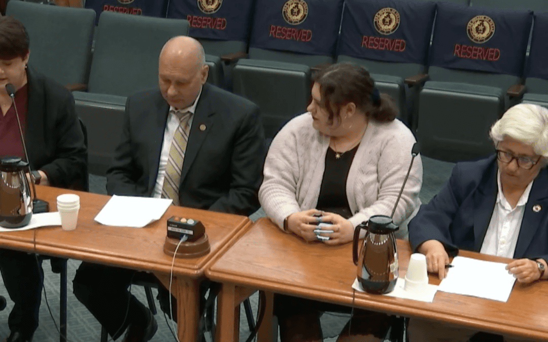 Professors Testify Against Faculty Senate Reform Proposal