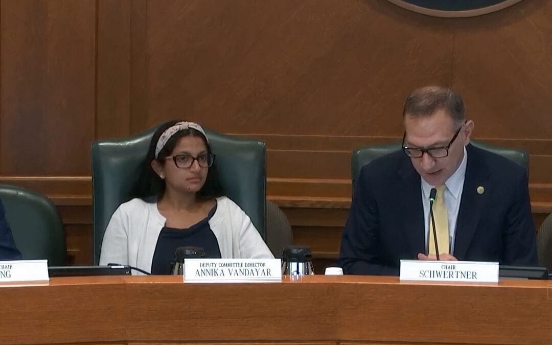 Texas Senators Consider Measure To Regulate Artificial Intelligence