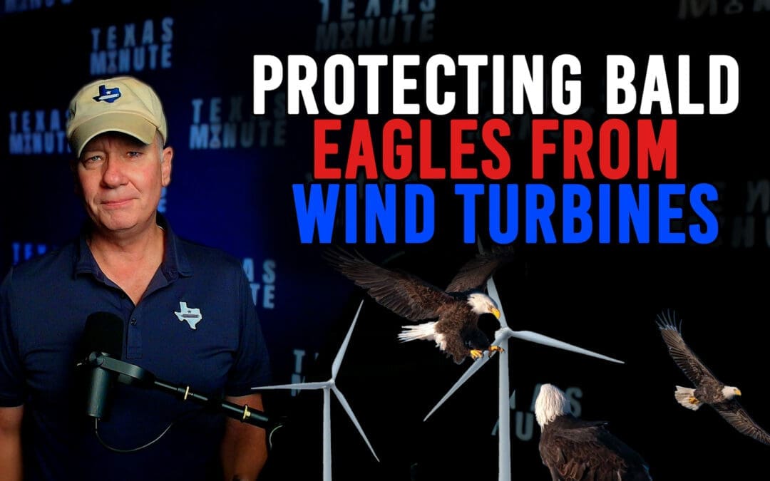 10.27.2025: Alamo Resignation.