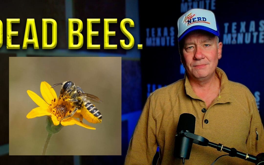 10.30.2025: CCP Cameras in Texas